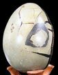 Septarian Dragon Egg Geode - Crystal Filled #40898-4